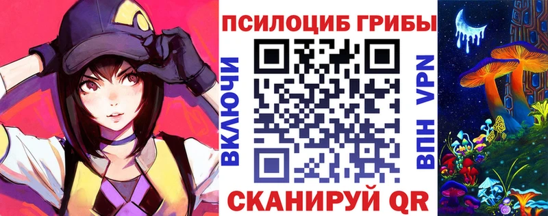 Псилоцибиновые грибы Cubensis  Бокситогорск 