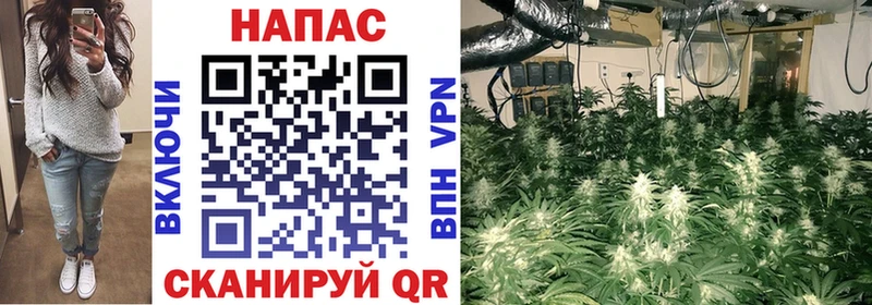 Канабис LSD WEED  где можно купить наркотик  Бокситогорск 